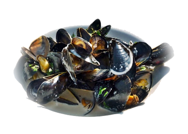 mussels-for-lunch