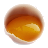 leftover egg yolk, by-products when cooking