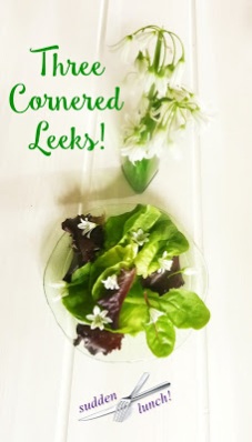 green salad with firaged three cornered leeks flowers and leaves