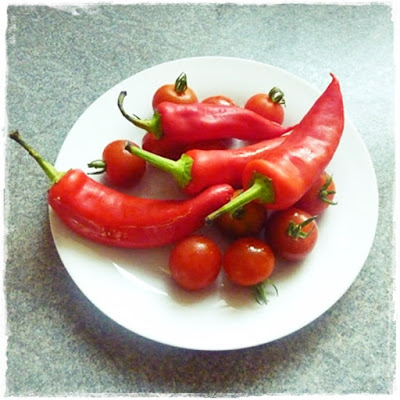 homegrown-chillies-and-tomatoes